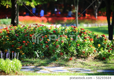 花的日子,寺廟的風景,Bulgapsa 花的日子,寺廟的風景,Bulgapsa 58293684