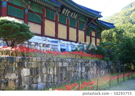 花的日子，寺廟的風景，Bulgapsa 58293755