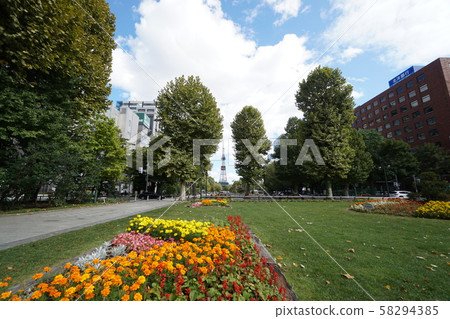 Autumn Odori Park (Nishi 5-chome) and Sapporo cityscape 58294385