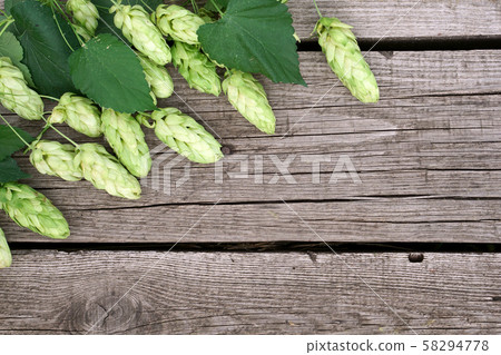 Hop twigs frame over wooden cracked table Hop twigs frame over wooden cracked table 58294778