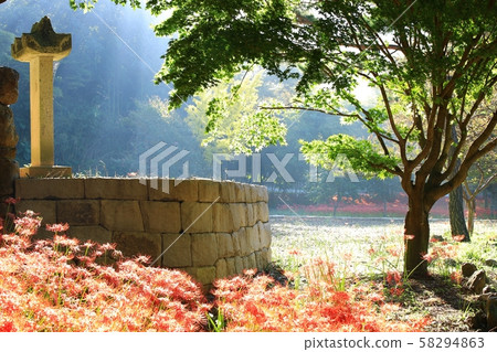 花的日子，寺廟的風景，Bulgapsa 58294863