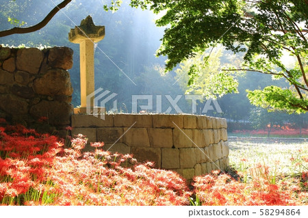 Day of Flowers, Landscape of Temple, Bulgapsa 58294864