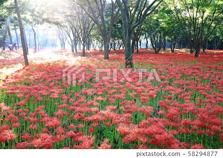 Day of Flowers, Landscape of Temple, Bulgapsa 58294877