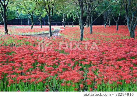 Day of Flowers, Landscape of Temple, Bulgapsa Day of Flowers, Landscape of Temple, Bulgapsa 58294916