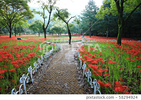 花的日子,寺廟的風景,Bulgapsa 花的日子,寺廟的風景,Bulgapsa 58294924
