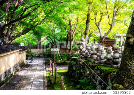 Peaceful Japanese public garden in Japan. 58295562