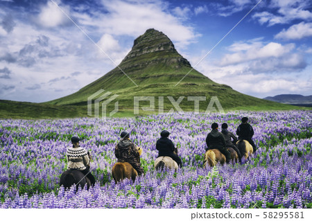 Tourist ride horse at Kirkjufell in Iceland. Tourist ride horse at Kirkjufell in Iceland. 58295581