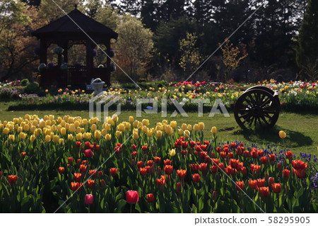 七chi花園春天 58295905