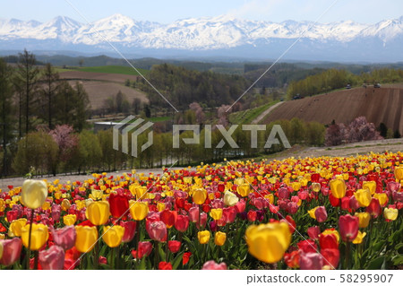 Hill of four seasons spring Hill of four seasons spring 58295907