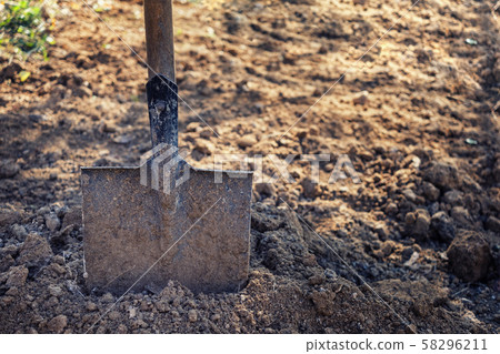 Old spade or shovel stuck in freshly dug earth 58296211