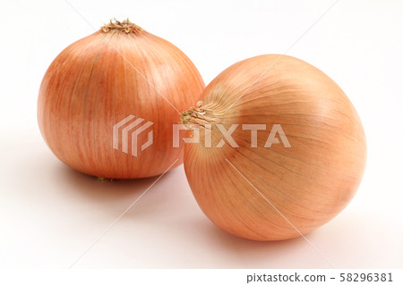 onion onion 58296381