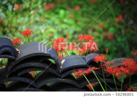 Flower Angel, Landscape of Temple Flower Angel, Landscape of Temple 58296801