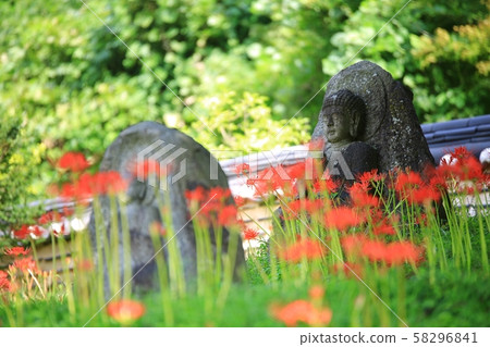 花天使,神廟景觀 花天使,神廟景觀 58296841