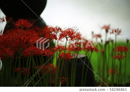 Flower Angel, Landscape of Temple Flower Angel, Landscape of Temple 58296861
