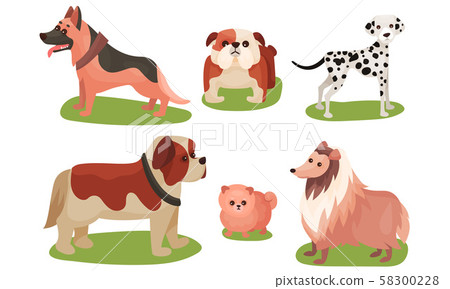 Vector Illustration Set Of Dogs Breed Isolated... - Stock Illustration ...