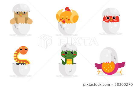 Cute New Born Animals In Eggs Vector Illustration Set Cute New Born Animals In Eggs Vector Illustration Set 58300270