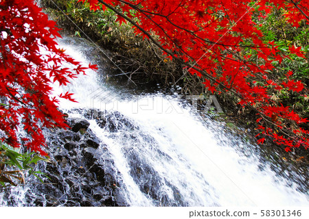 Nanataki clear stream and red autumn leaves Nanataki clear stream and red autumn leaves 58301346