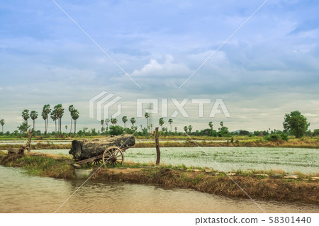 A big timber placed on the old cart look like a cannon at the rice field. A big timber placed on the old cart look like a cannon at the rice field. 58301440