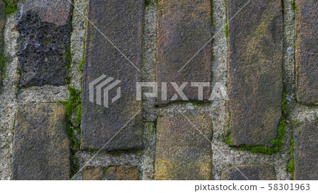 Moss on the wall of an old castle Surface old bricks wall. 58301963