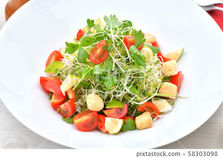 Sprout salad. A green salad with alfalfa, broccoli and celery sprouts. 58303098
