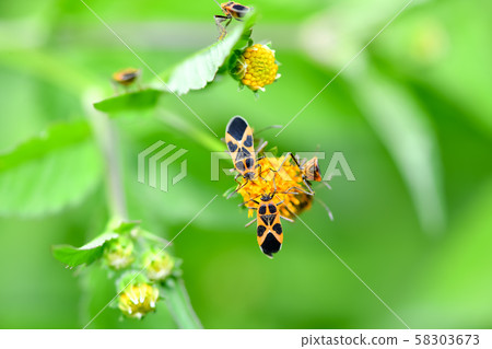 永井先生 58303673