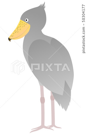 Illustration of a Shoebill standing still Illustration of a Shoebill standing still 58304177