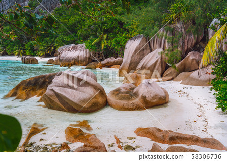 Tropical beach with granite boulders at Seychelles. Travel, Exotic tourism and nature concept 58306736
