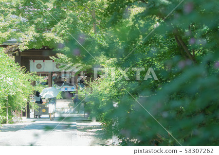 Kyoto, Nagisa Shrine's flower and worshipers 58307262