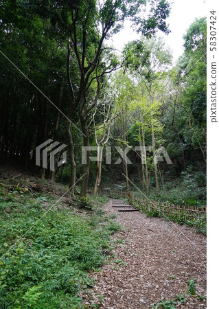 橫濱綠道區的縣立四季公園 58307424
