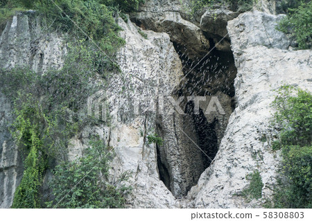 CAMBODIA BATTAMBANG BATH CAVE 58308803