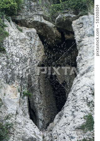 CAMBODIA BATTAMBANG BATH CAVE 58308804