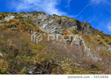 Kitadake Buttress Autumn Leaves 58310698