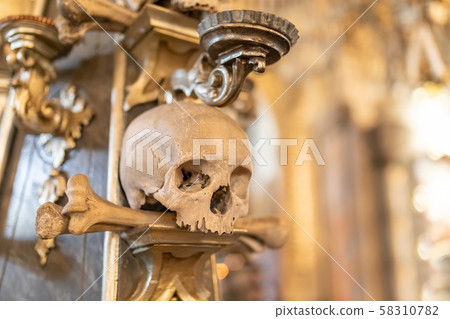 Human skulls and bones in ossuary Sedlec Kostnice Human skulls and bones in ossuary Sedlec Kostnice 58310782