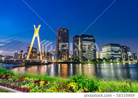 Night view of tower condominium viewed from Yeouido Park (Chuo-ku, Tokyo) Night view of tower condominium viewed from Yeouido Park (Chuo-ku, Tokyo) 58310989