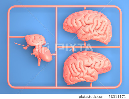 Model kit set with pink brain parts. 58311171