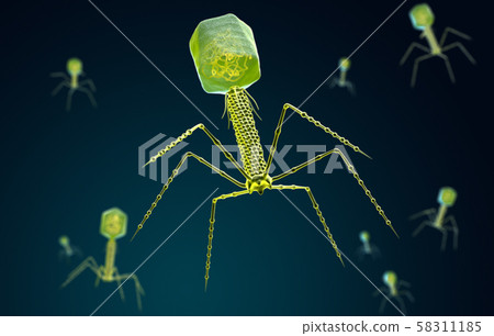 Stylized visualization of a bacteriophage Stylized visualization of a bacteriophage 58311185