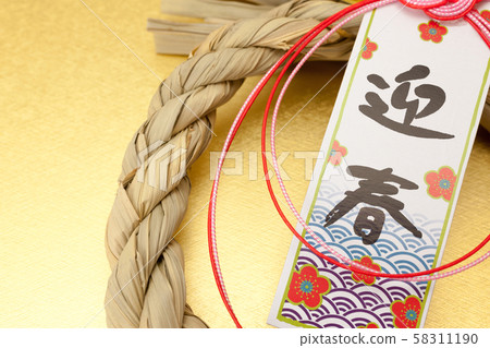 Shark's fancy 58311190