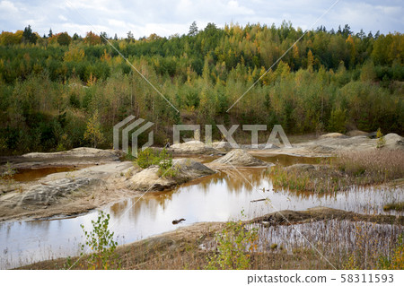 Autumn forest, stream with coastal stones. Autumn forest, stream with coastal stones. 58311593