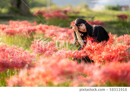 Cluster amaryllis, women, woman 58311918