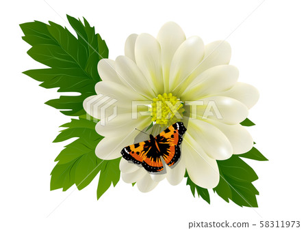 flower and butterfly 58311973