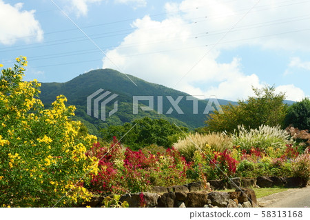 Painting-like landscape 58313168