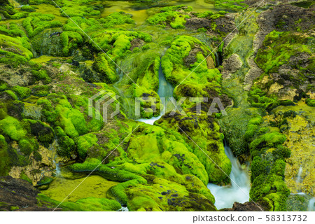 Gumma Prefecture·Chad Bomigogoke Park Gumma Prefecture·Chad Bomigogoke Park 58313732