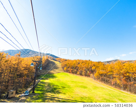 Adatara山2018年秋葉 Adatara山2018年秋葉 58314036