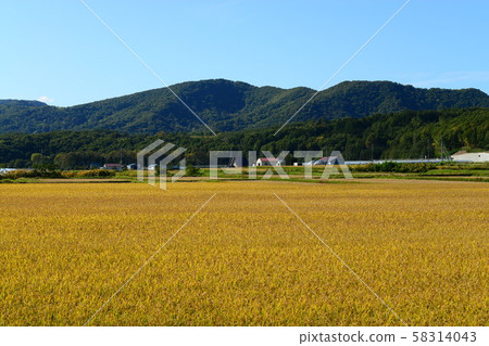 鄉村景觀 鄉村景觀 58314043