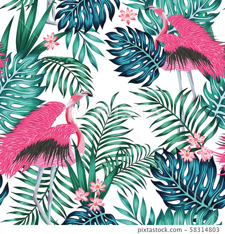 Pink flamingo tropical blue green leaves red lotus 58314803