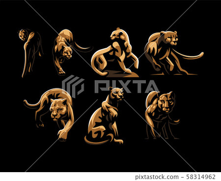Wild cats. Jaguar, cheetah, leopard, panther. Wild cats. Jaguar, cheetah, leopard, panther. 58314962