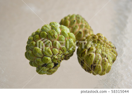 Harvested Buddha head fruit (Shakatou) Harvested Buddha head fruit (Shakatou) 58315044