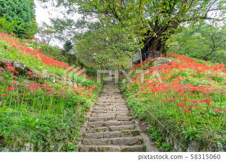 Buddha Temple 3684 Buddha Temple 3684 58315060