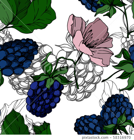 Vector Blackberry healthy food. Black and white engraved ink art. Seamless background pattern. 58316970