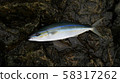 Tsumblim 58317262